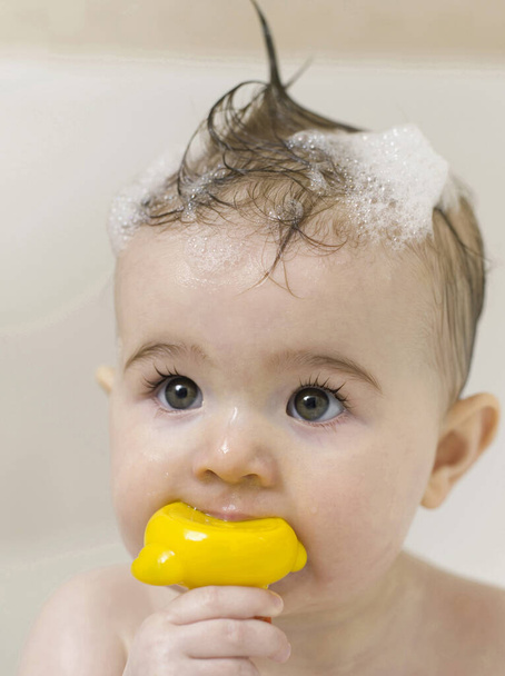 Baby girl with soap suds on her hair biting on a rubber duck - Photo, image