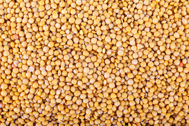 Yellow lentils background. Texture. Close-up. - Photo, image
