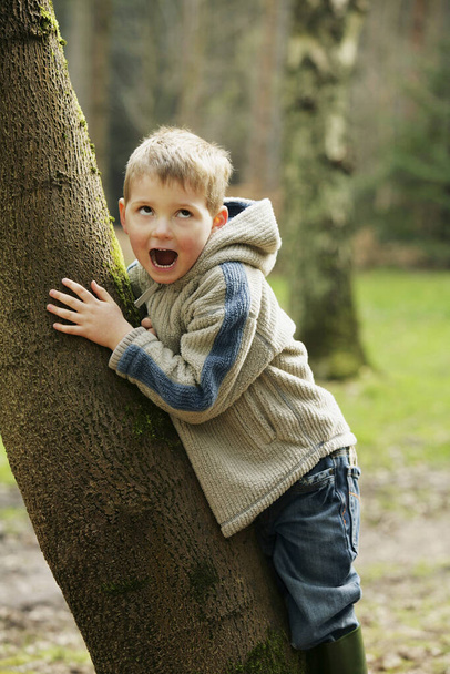 Boy posing with tree - Foto, Imagen