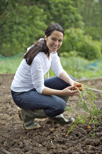Woman picking carrots in garden - Zdjęcie, obraz