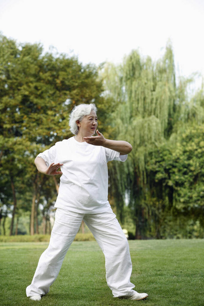 Senior woman practising tai chi in the park - Zdjęcie, obraz