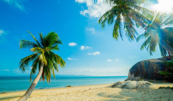 Hermosa playa soleada. Vista de la bonita playa tropical con palmeras alrededor. Concepto de vacaciones y vacaciones
 - Foto, imagen