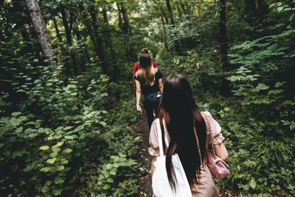 Egy baráti társaság sétál egy ösvényen az erdőben piknikezni. Kempingezés, túrázás. Kiváló minőségű fénykép - Fotó, kép