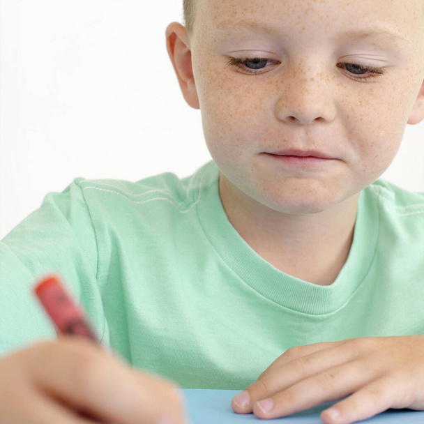 portrait of Boy using crayon - Foto, immagini