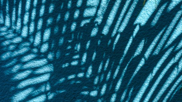 sombra de folhas de palma na parede de concreto azul
 - Foto, Imagem