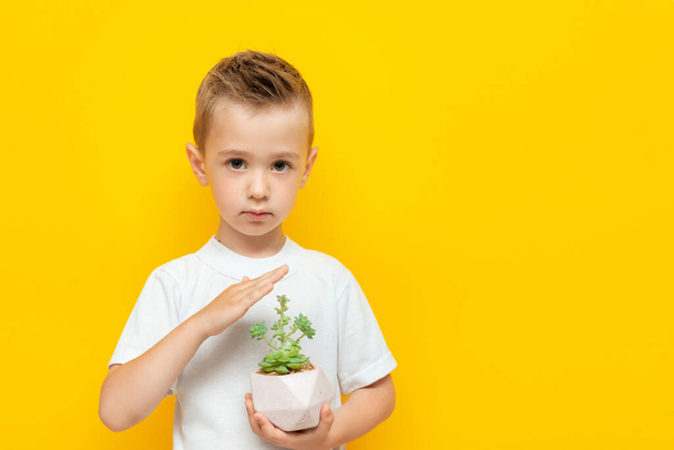 Cute little boy with a houseplant in his hand - Фото, изображение