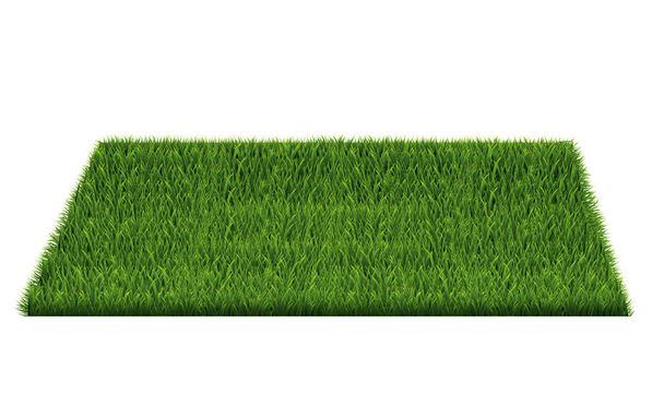Square Of Green Grass Field - Διάνυσμα, εικόνα