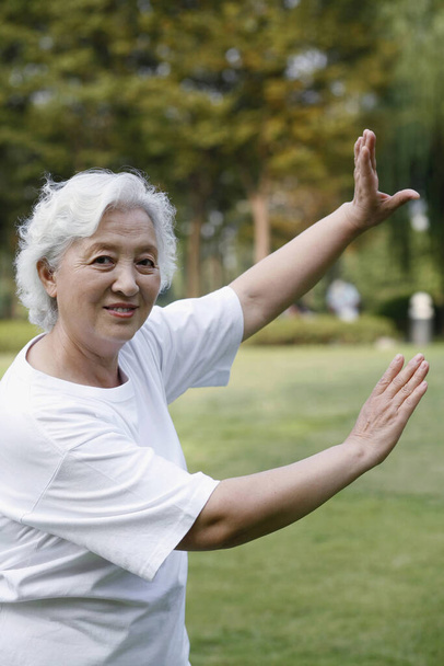 Senior woman practising tai chi in the park - Fotografie, Obrázek
