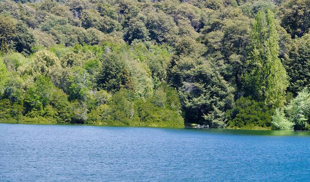 Озеро Нахуэль-Уапи в своем наивысшем великолепии
. - Фото, изображение