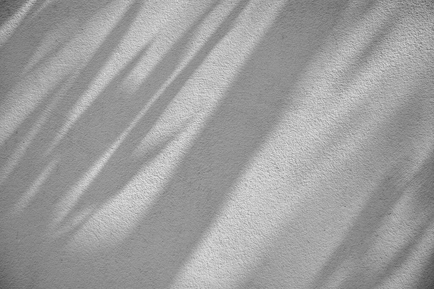 sombra de ramos e folhas em uma parede branca
 - Foto, Imagem