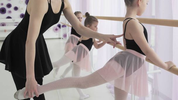 Little ballerinas in purple leotards training at barre. - Photo, Image
