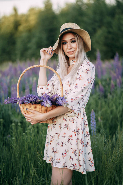 menina loira em um vestido com uma cesta em um campo de lupins
. - Foto, Imagem