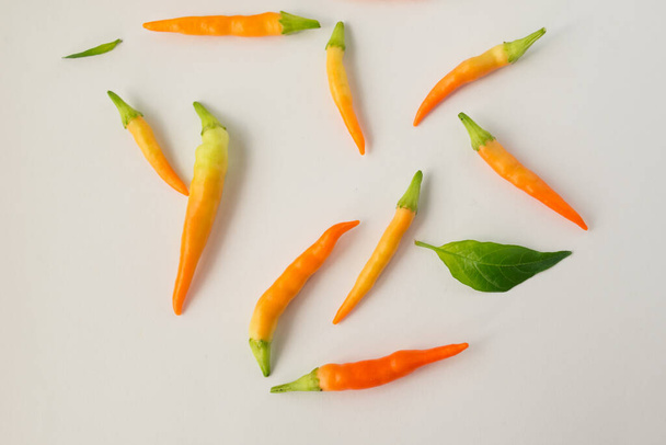 multi-colored chili peppers on a white background - Photo, image