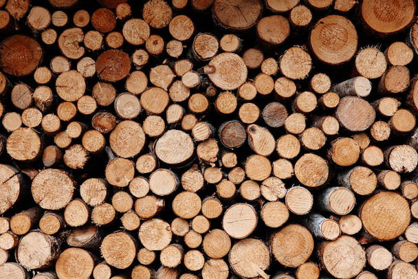 屋外の正確な杭に配置された新鮮なみじん切りの木材。暖炉のために用意された多くの異なるサイズの丸いログ。テクスチャ背景. - 写真・画像