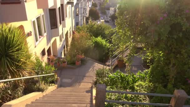 Telegraph Hill 'deki San Francisco şehri yeşil halk bahçesi - Video, Çekim