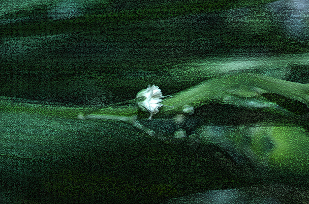 Textura floral
 - Foto, Imagem