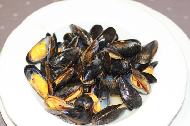 Rock mussels steamed with white wine - Photo, Image