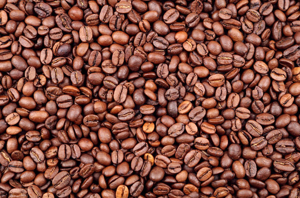 Gros plan de grains de café torréfiés - Photo, image