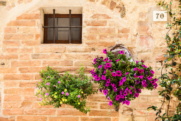 toskánské květiny - Fotografie, Obrázek