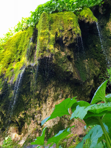 Водоспади водоспадів Pietrele Vorbitoare, буйна зелена рослинність, що росте на вапняковій стіні. Травертинний водоспад у горах Сіпоте - Траскау (Апусенський район, Трансільванія, Румунія). - Фото, зображення
