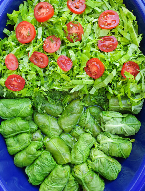 緑のオラーシュ肉ロール,サラダの葉と赤チェリートマトスライス,オーブンで健康的な料理の前に鍋に一緒にパック - 写真・画像