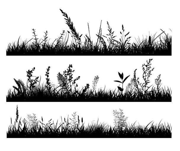 Abstract background with black silhouettes of meadow wild herbs and flowers. Wildflowers. Floral background. Wild grass. Vector illustration. - Vector, Image