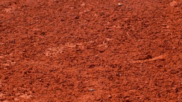 Palla da tennis rimbalzante su un campo da tennis rosso prima di servire. 180fps - Filmati, video