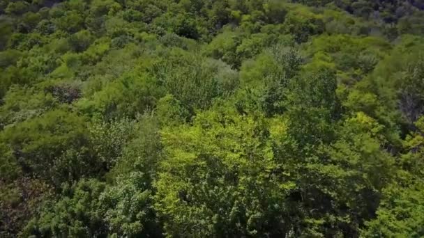 Drohne fliegt über grüne Hügel - Filmmaterial, Video