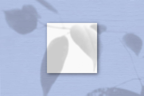 Das quadratische Blatt aus weißem strukturiertem Papier auf dem blauen Wandhintergrund. Mockup-Overlay mit den Schatten der Pflanze. Natürliches Licht wirft Schatten von einer exotischen Pflanze. Flache Lage, Blick von oben. Horizontale Ausrichtung - Foto, Bild