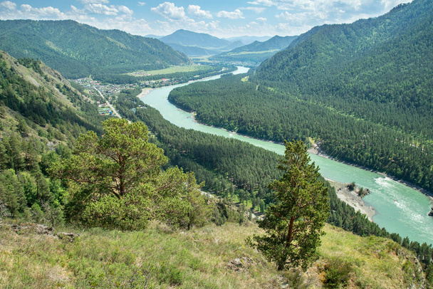 Schilderachtige bergvallei, rivier de Katun, Altai. Zomervakantie en reizen.  - Foto, afbeelding
