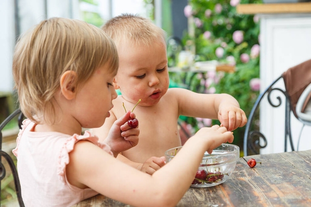 Brother and sister eating sweet cherry, outdoor in garden - 写真・画像