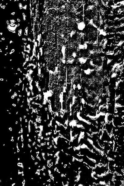 термітовий візерунок в дереві
 - Фото, зображення