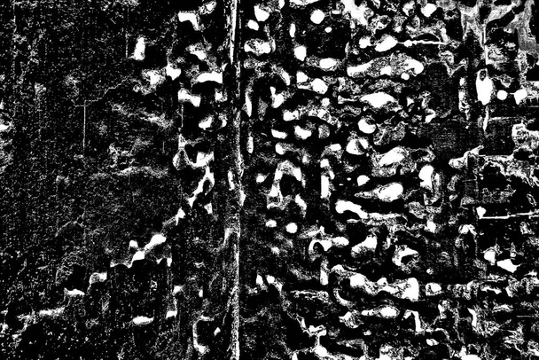 Termitenmuster in Holz - Foto, Bild