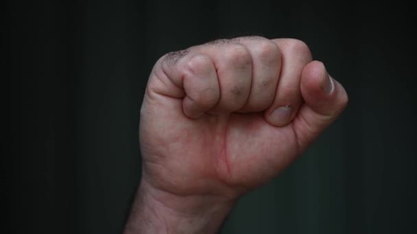 Hombre levantó el puño movimiento. El puño cerrado, símbolo de solidaridad y apoyo, se utiliza también como saludo para expresar unidad, fuerza, desafío o resistencia.
. - Metraje, vídeo