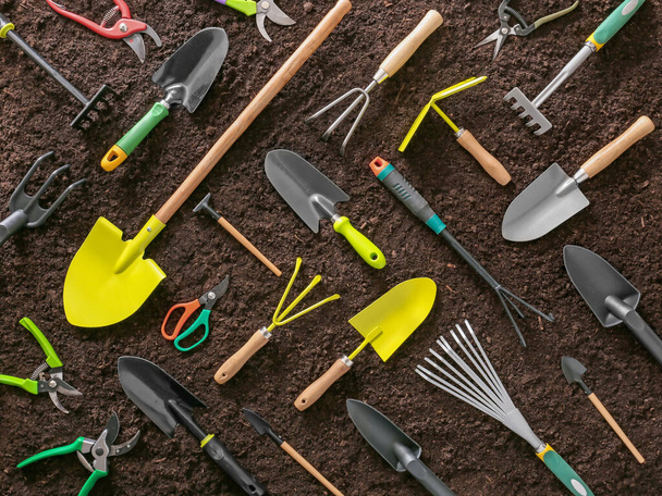 Tools for gardening on soil background - Фото, зображення