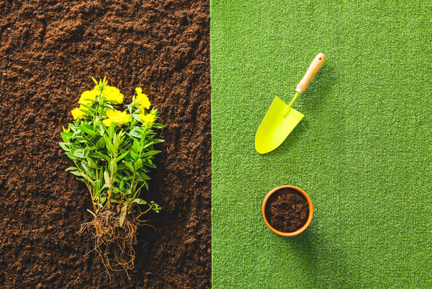 Pelle pour jardinage avec plante, pot et terre, vue de dessus - Photo, image