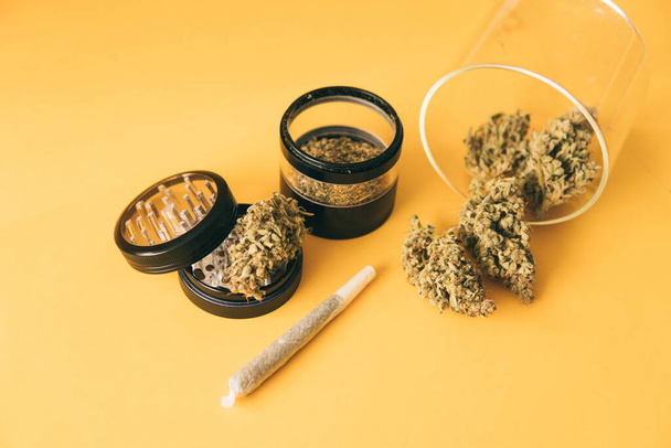 Indica medical health. The pot leaves on buds. Yellow background. Cannabis nature bud. Sativa THC CBD. Marijuana weed bud and grinder. Joint weed. - Zdjęcie, obraz