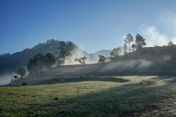 Un beau paysage d'une belle matinée dans les collines avec des rayons de soleil qui scrutent les arbres - Photo, image