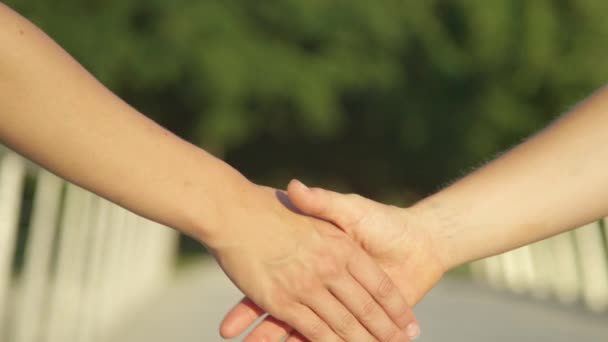 CLOSE UP, DOF: Jonge collega 's ontmoeten elkaar in een park en begroeten elkaar door handen te schudden. - Video