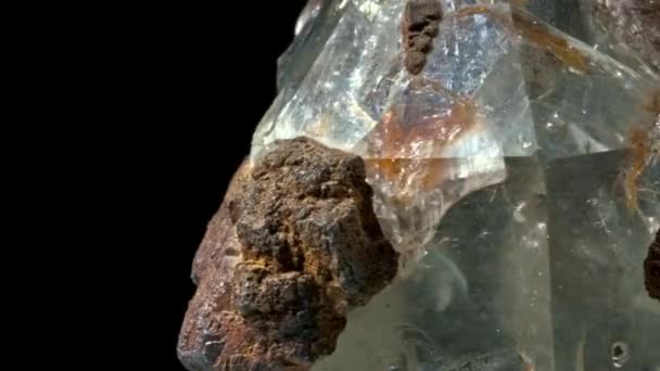 απολίθωμα αμμωνίτη ενσωματωμένο σε πέτρα, πραγματικό αρχαίο απολιθωμένο κέλυφος. - Πλάνα, βίντεο