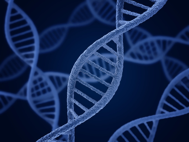 DNA molecule - Photo, Image