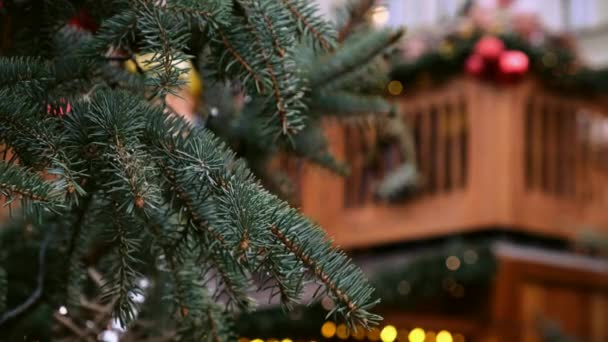 Природная новогодняя елка на праздничной рождественской ярмарке на деревянном фоне на городской улице
. - Кадры, видео