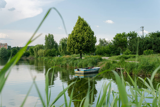 Eine schöne große und grüne Linde (Buchsbaum, Linde) in der Nähe des Sees mit einem alten Boot - Foto, Bild