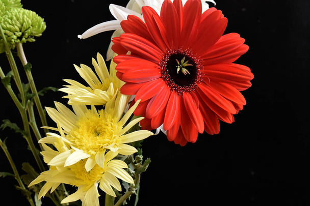 Zbliżenie niesamowite kwiaty kwiat - Zdjęcie, obraz