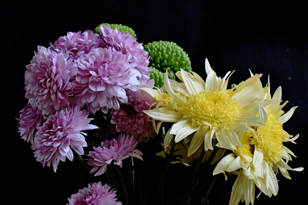 Primer plano de flores increíbles florecen - Foto, imagen