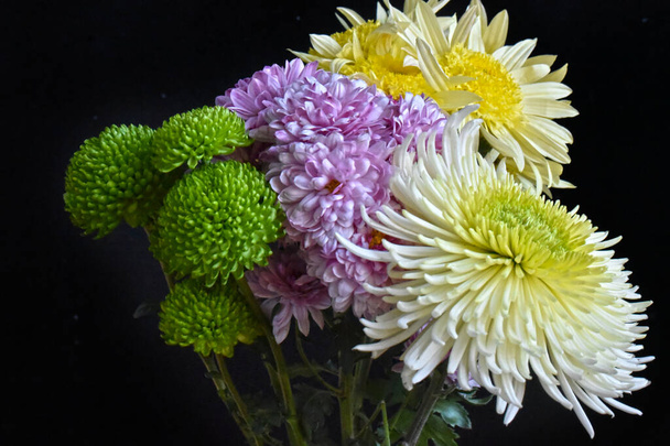 Nahaufnahme von erstaunlichen Blumen blühen - Foto, Bild