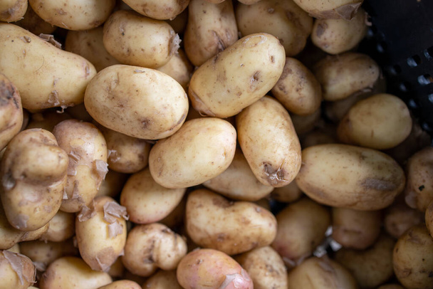 piccole patate novelle su una bancarella di mercato che fa da sfondo - Foto, immagini