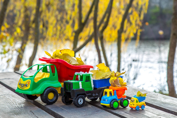 Malá autíčka stojí na dřevěném povrchu na pozadí rozmazaného podzimního parku. - Fotografie, Obrázek