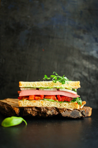サンドイッチソーセージ、野菜、タマト、レタス、ソースのファーストフードメニューのコンセプトはサイズを提供しています。食品の背景トップ表示テキストのコピースペース有機健康的な食事 - 写真・画像