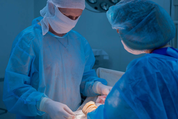 Οι παιδοχειρουργοί κάνουν ουρολογικές επεμβάσεις. Ένας άντρας και μια γυναίκα με μάσκα και ένα μπλε αποστειρωμένο παλτό στο χειρουργείο. Μια ομάδα χειρουργών διεξάγει μια εγχείρηση. Θεραπεία της βουβωνοκήλης, οίδημα των όρχεων, νόσος των όρχεων, κιρσοκήλη - Φωτογραφία, εικόνα